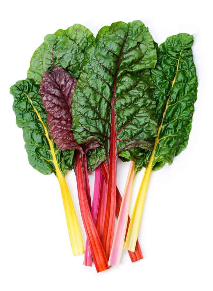 juicing swiss chard