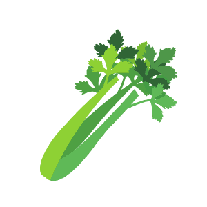 best juicer for celery
