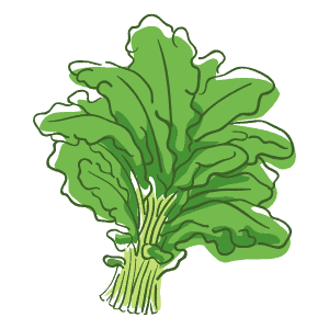 juicer for leafy greens