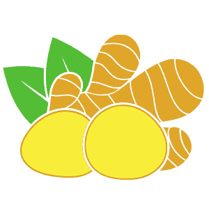best juicer for ginger
