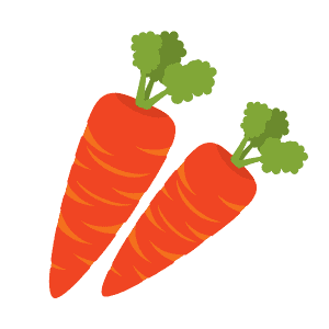 best juicer for carrots