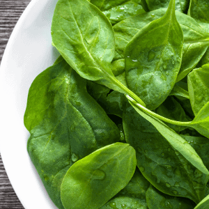 best juicer for leafy greens