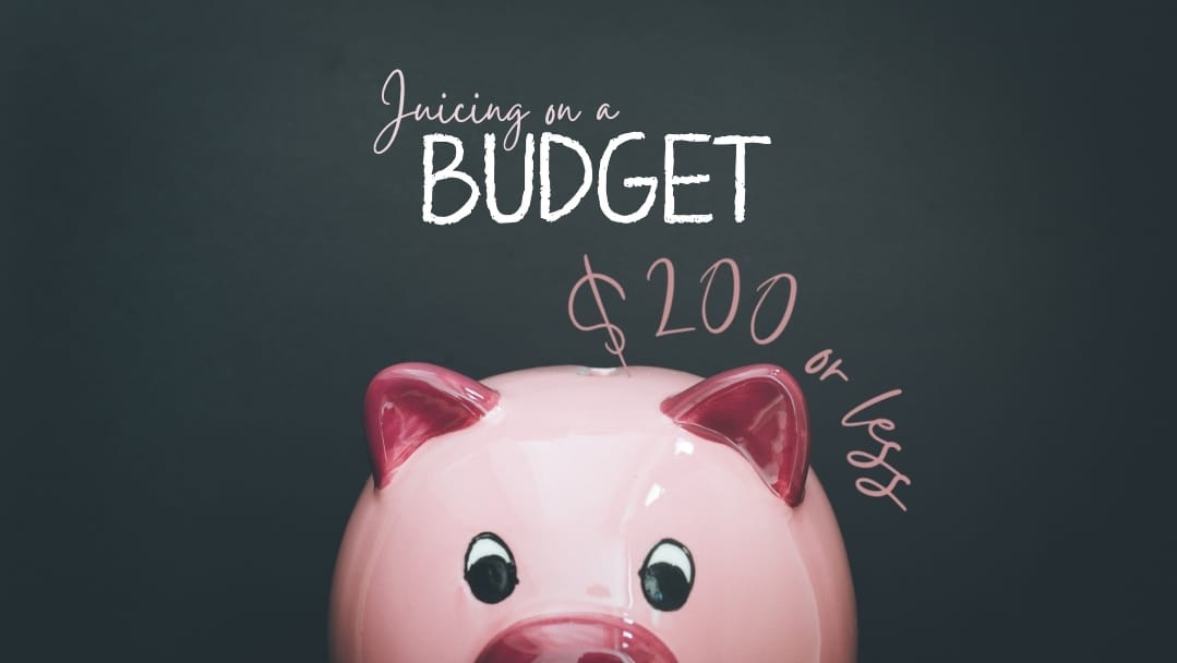 Best Juicer Under 200 7 Budget Masticating Juicers