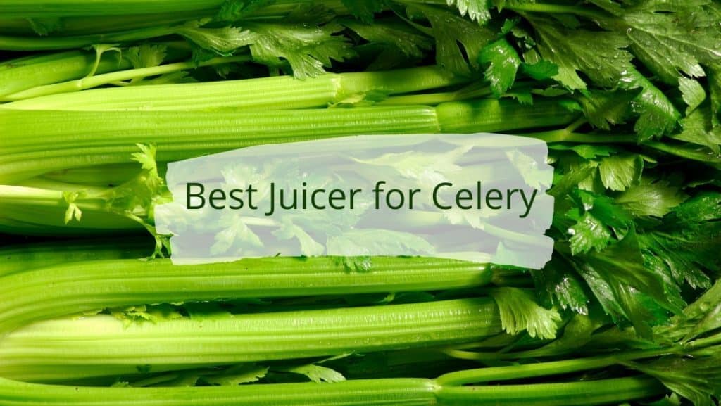 best juicer for celery
