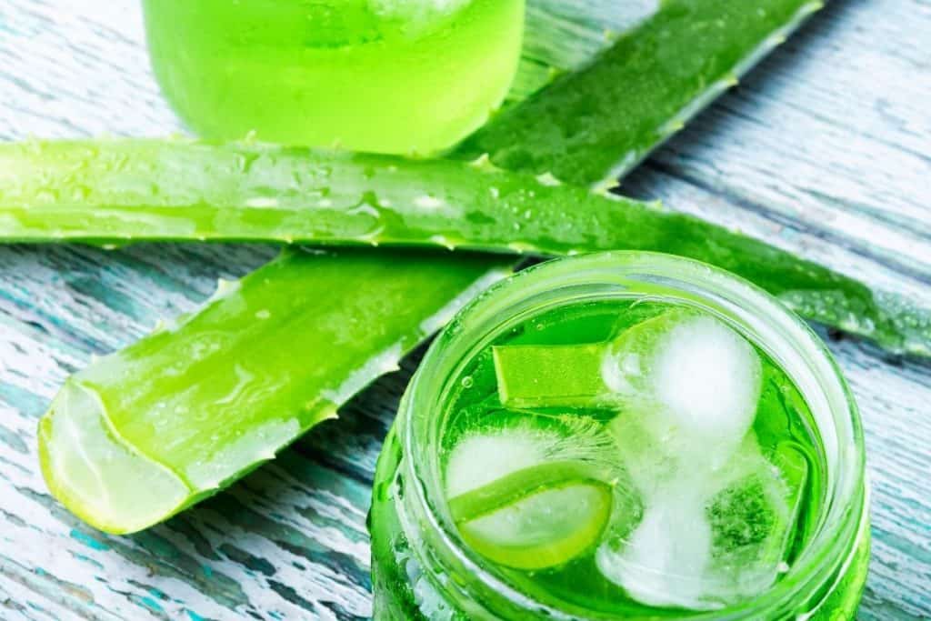 aloe vera juice in pregnancy