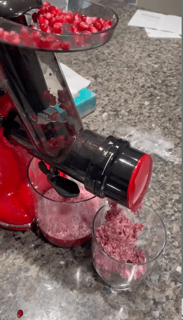 orfeld juicer for pomegranate