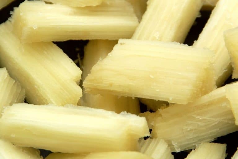 What is the Best Sugar Cane Juicer? The Ultimate Guide