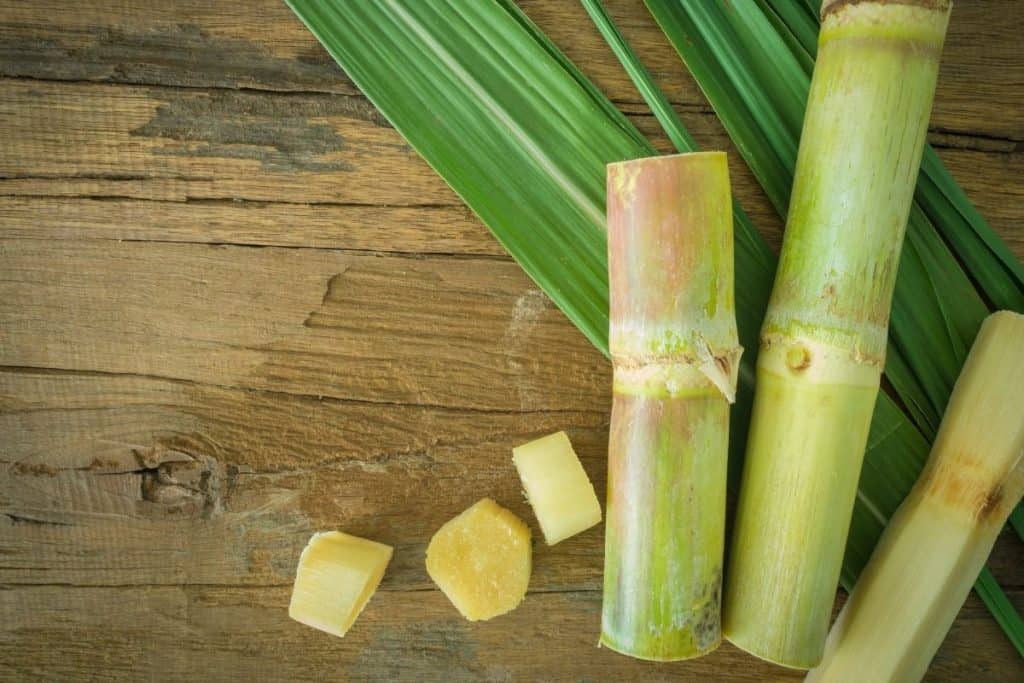 sugarcane juice calories