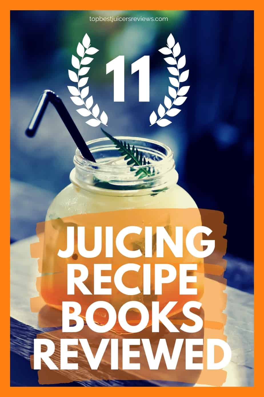11 Juice Recipe Books Reviewed Best Juicing Recipe Books